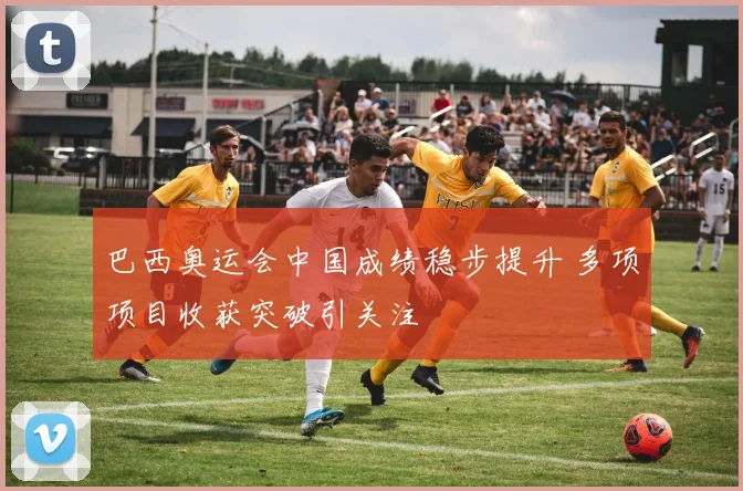 巴西奥运会中国成绩稳步提升 多项项目收获突破引关注