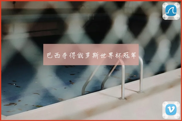 巴西夺得俄罗斯世界杯冠军