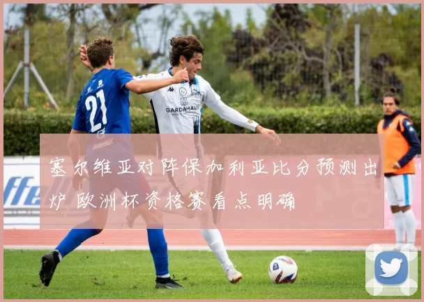 塞尔维亚对阵保加利亚比分预测出炉 欧洲杯资格赛看点明确